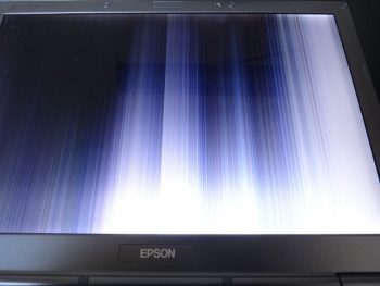 EPSON Endeavor NA801